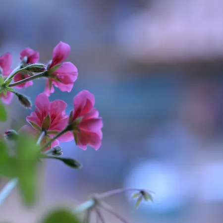 Ordaola * Alonsotegi