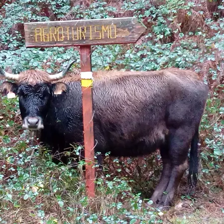 Ordaola カントリーハウス *