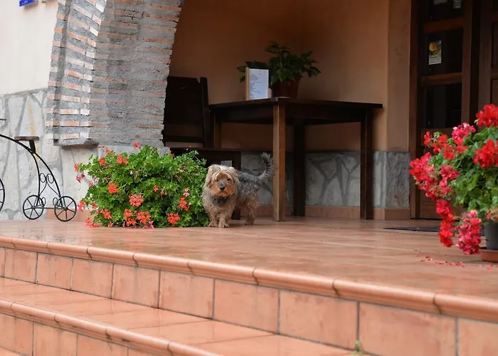 Hétvégi ház Ordaola *