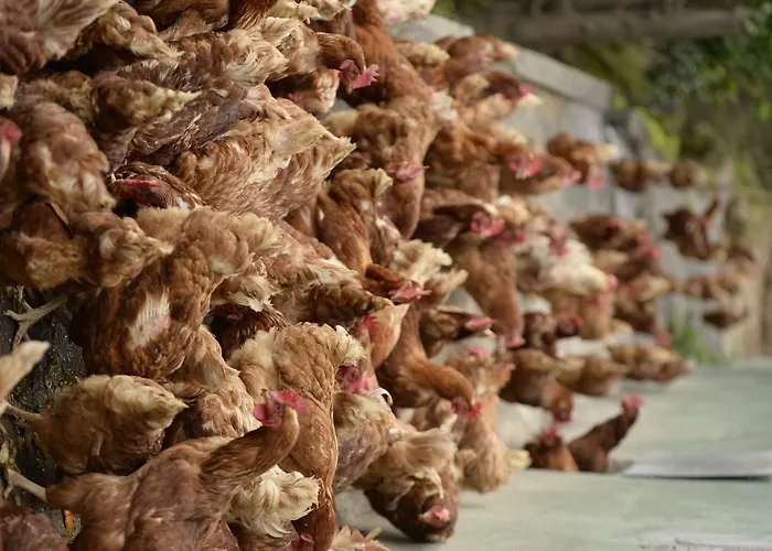 Ordaola * Alonsotegi