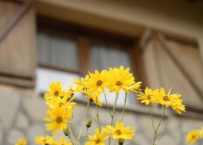 Ordaola Hétvégi ház